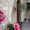 Charme in Perillis