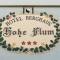 Hotel Hohe Flum - شوبفهايم