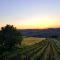 La Terrazza sui Vigneti-Rovescala - San Damiano al Colle