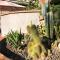 Bed & Breakfast Lujocanda