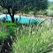Le Clos en Provence photo 17