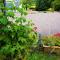 Lundie View B & B