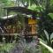 Pachamama Jungle River Lodge - Punta Uva - Пуерто-В'єхо