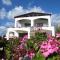 Darcy Villa