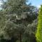 Crown Roads photo 14