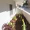 Calmare suites