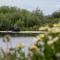 Moose Drool by KABINO 5 acres Fire Pit Pool Table Ping Pong Foosball WiFi Grill Mtn Trails