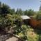 Foto: House With Private Garden 40/43