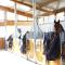 Gite Ecuries Vineuil Jump