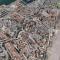 Port leucate T2 bis wifi les Sables 3