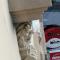 Apartman Manuela