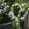 Brook House B&B & Cottages
