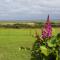 Lilly's Lodges Orkney Hedgehog Lodge - Finstown