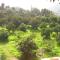 Finca Tomás y Puri
