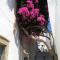 The large bougainvillea house - Kíthira