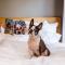 Hotel Max