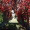 Giardino Donna Lavia