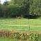 Rustpunt Groote Heide