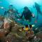 Bali Dive Resort Amed