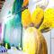 Yellow House Hostel Huizhou West Lake