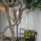 Apartment Aldica