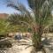 villa tunis village
