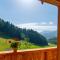 Almchalet Linharterhof