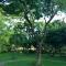 Amrita Green Retreat