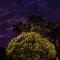 Chalé Gaia - Hospedagem Itatiaia - إيتاتيايا