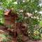 Foto: Nature House Eco-Lodge 6/232