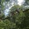 vakantieverblijf Nature