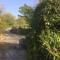 Mill Cottage - Llanddeiniol