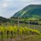 Il Mandorlo - Agriturismo e Azienda Agricola Ferrato