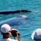 The Whale on Main B&B - Hermanus