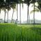 Bhuwana Ubud Hotel and Farm