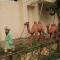 Anvars Guests