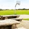 8 person holiday home in Brovst-By Traum
