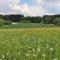 Heumanns Blockhaeuser am Wald - Pottenstein