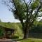 Basswood Resort