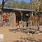 Dream of Africa Bush Lodge