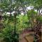 Foto: Nature House Eco-Lodge 90/232