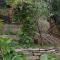 Guest House Ucha