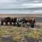 Cora´s House & Horses