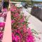 Ambergris Sunset Hotel