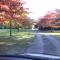 Chester Oaks B&B - West Melton