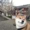 Kanazawa Share House GAOoo