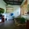 A Daintree Garden