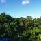 A Daintree Garden