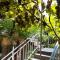 Old house apartment with Garden area