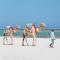 Diani Sea Lodge - All Inclusive